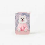 Samoyed