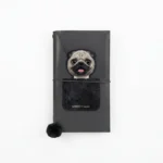 Pug