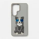 Border Collie-Gray